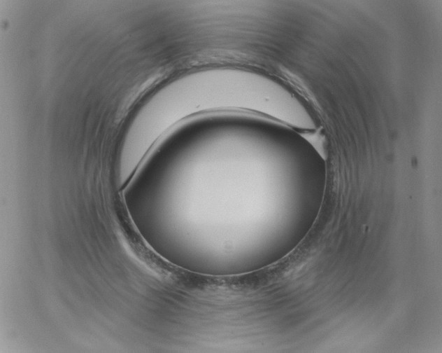 X0000062910538200602031859