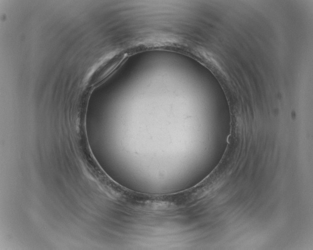 X0000062910539200602031859