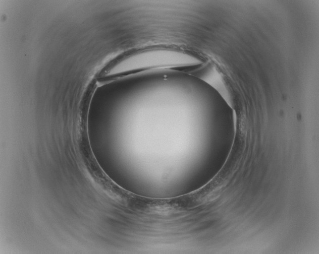 X0000062910540200602031859