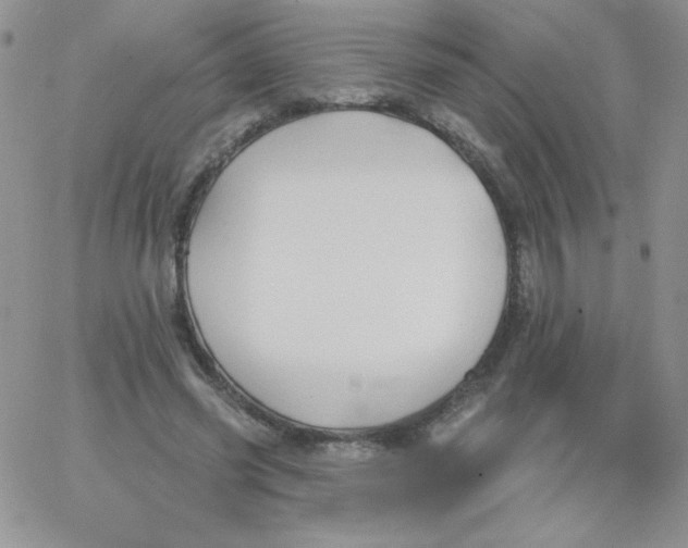 X0000062910541200602031859