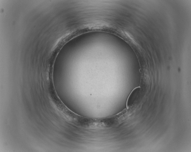 X0000062910543200602031859