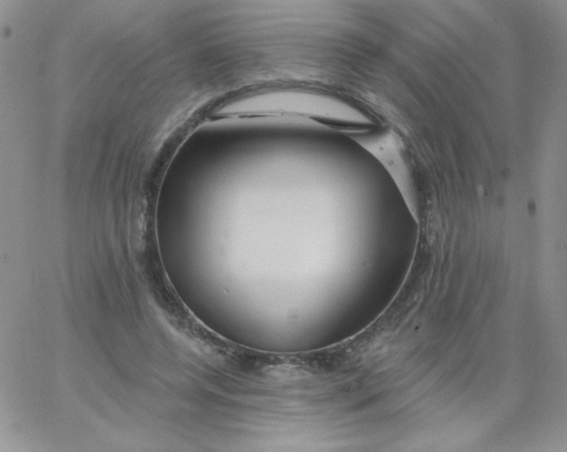 X0000062910544200602031859