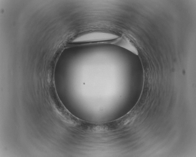 X0000062910546200602031859