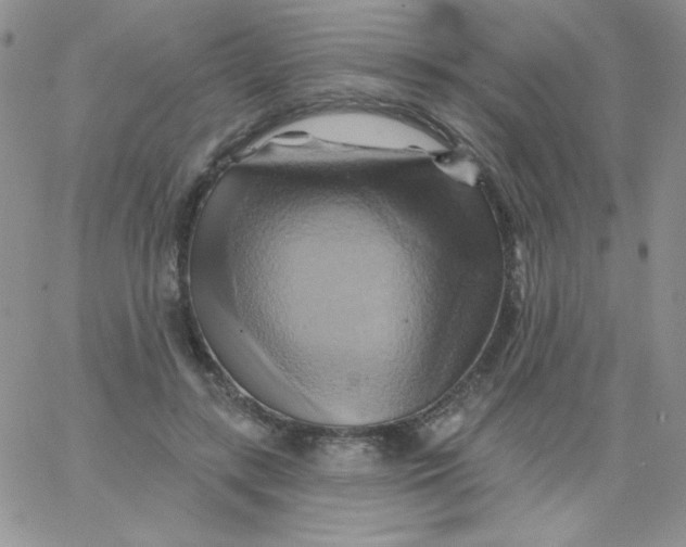 X0000062910547200602031859