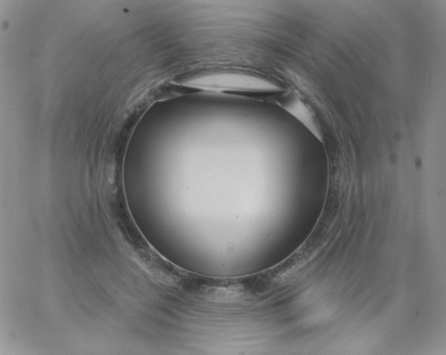 X0000062910548200602031859