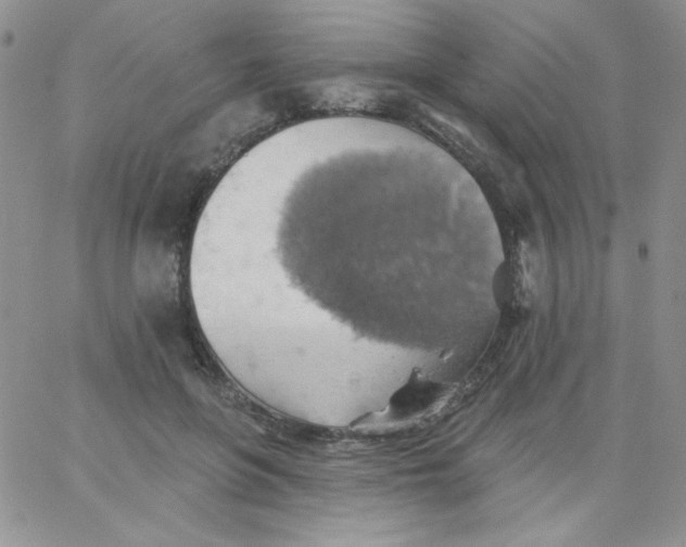 X0000062910551200602031859