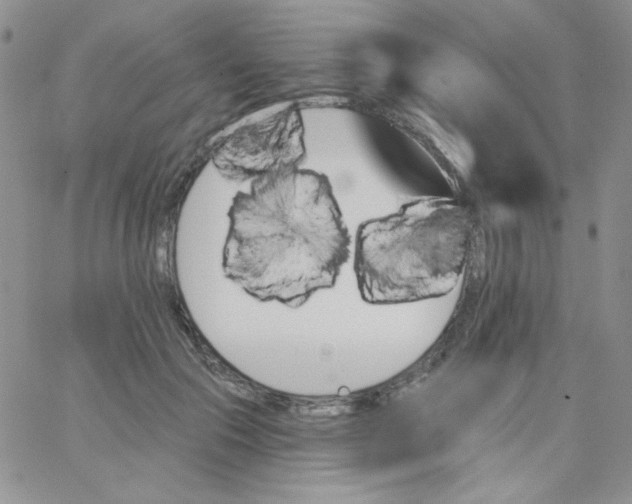 X0000062910553200602031859