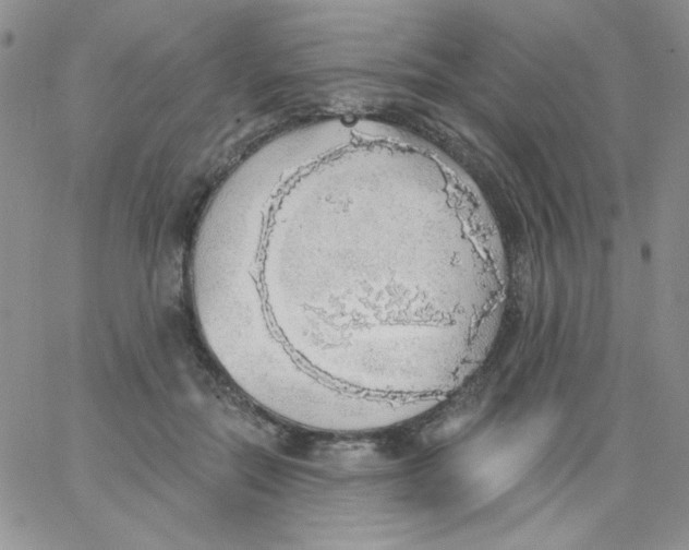 X0000062910554200602031859