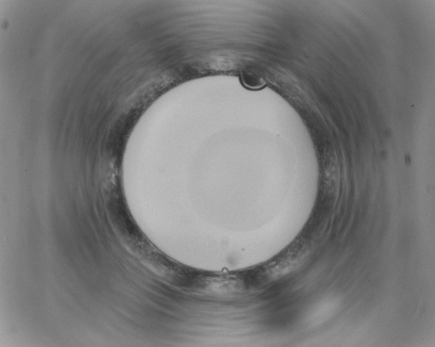 X0000062910555200602031859