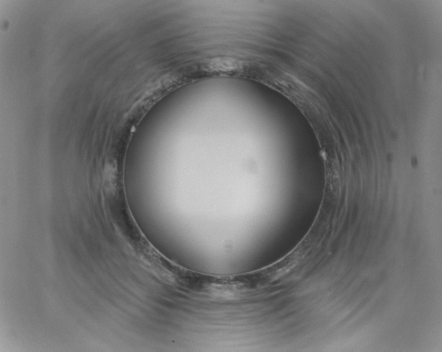 X0000062910556200602031859