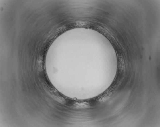 X0000062910557200602031900