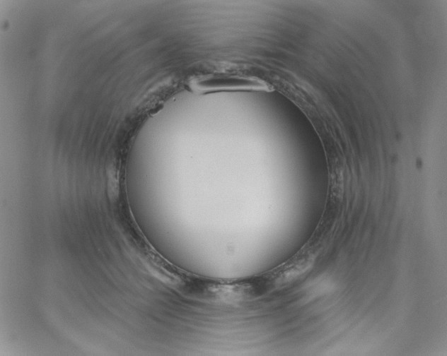 X0000062910558200602031900