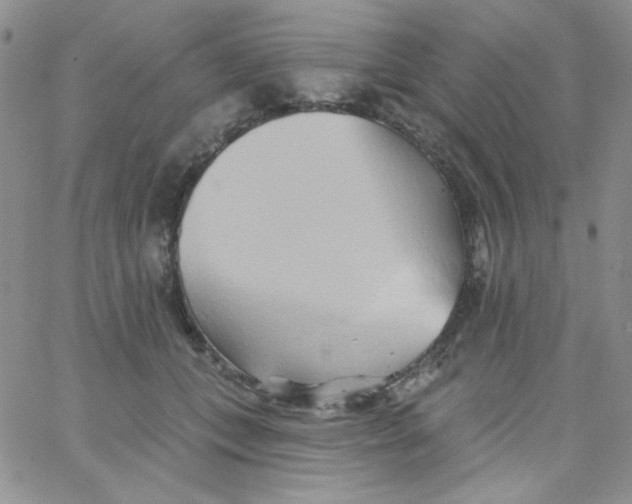 X0000062910559200602031900