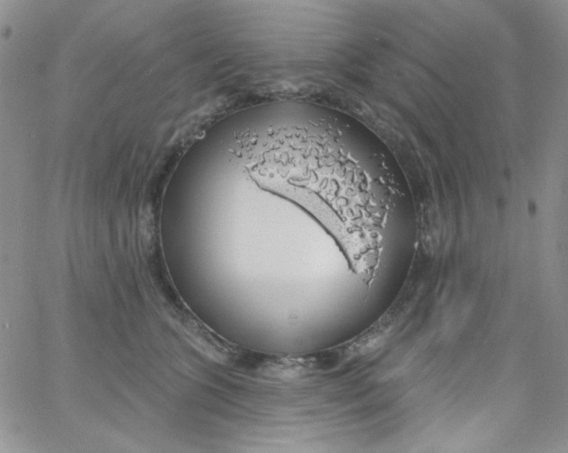 X0000062910563200602031900