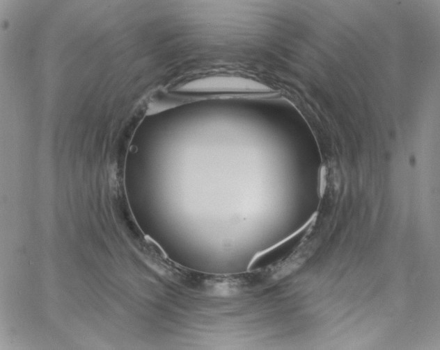 X0000062910564200602031900