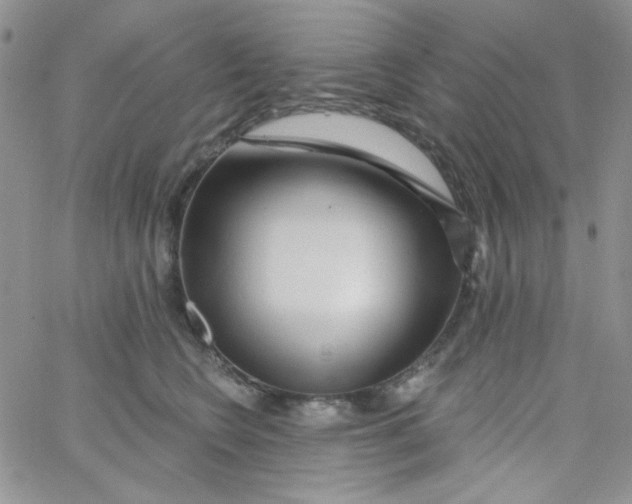 X0000062910566200602031900