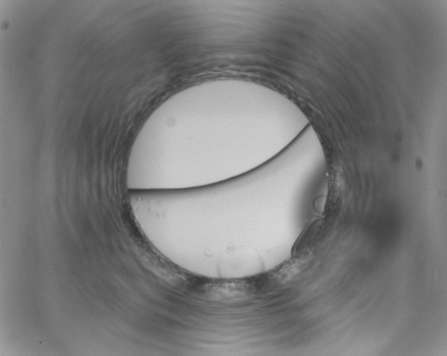 X0000062910567200602031900