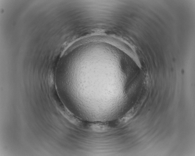 X0000062910568200602031900