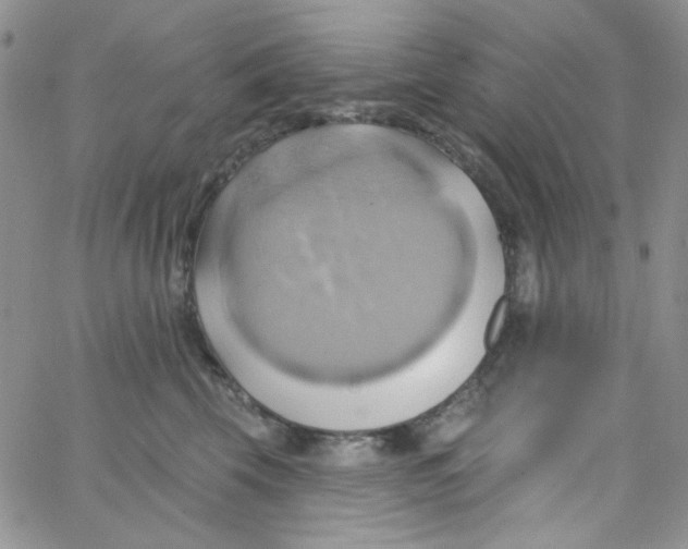 X0000062910569200602031900