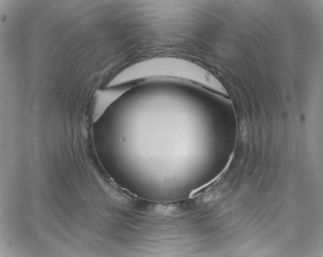 X0000062910570200602031900