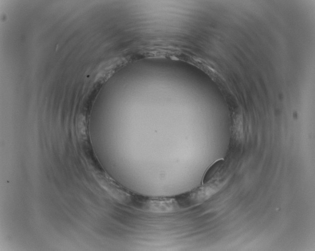 X0000062910571200602031900