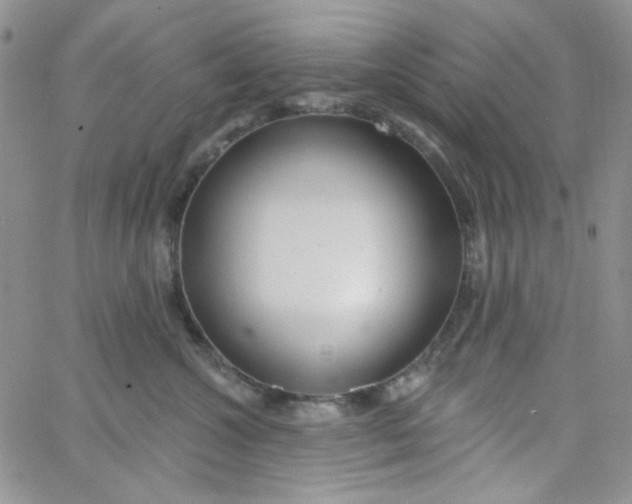 X0000062910572200602031900