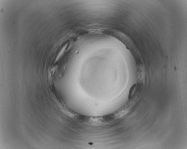 X0000062910573200602031900