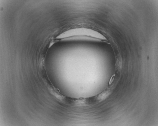 X0000062910574200602031900