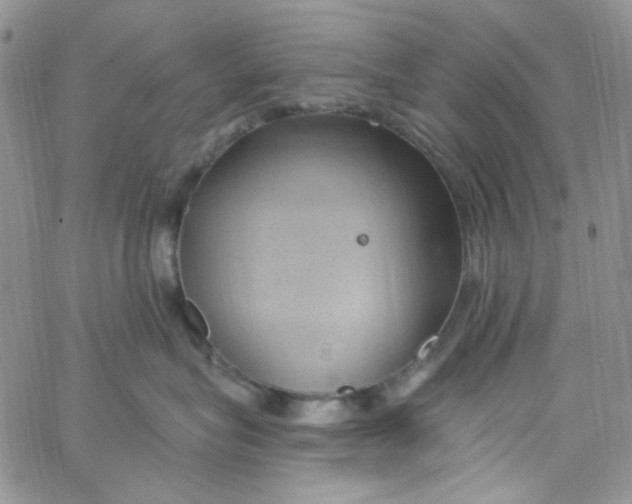 X0000062910575200602031900