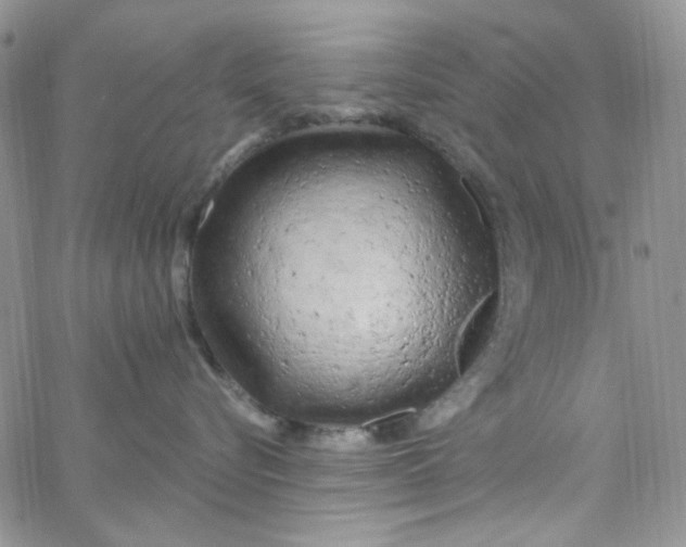 X0000062910576200602031900