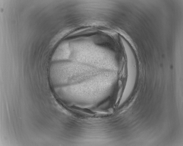 X0000062910577200602031859