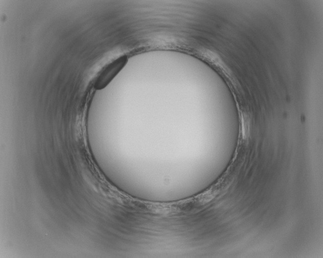 X0000062910579200602031859