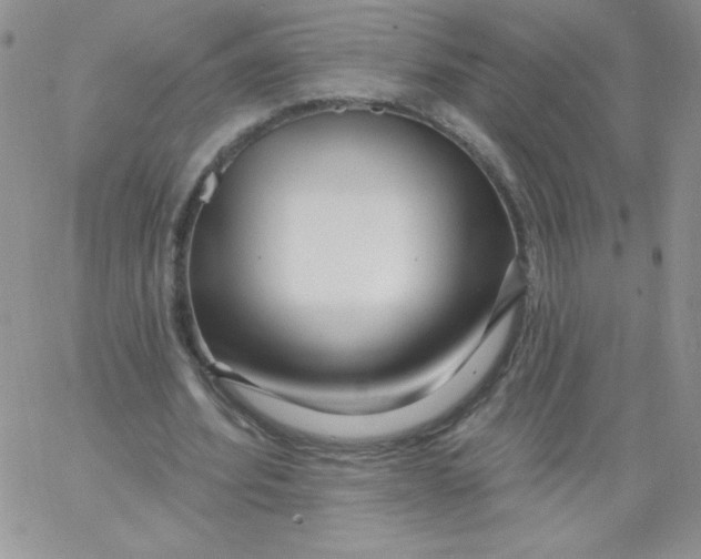 X0000062910580200602031859