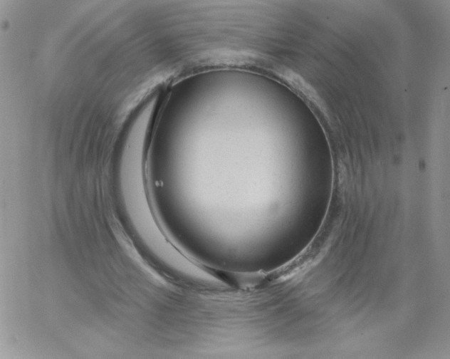 X0000062910581200602031859