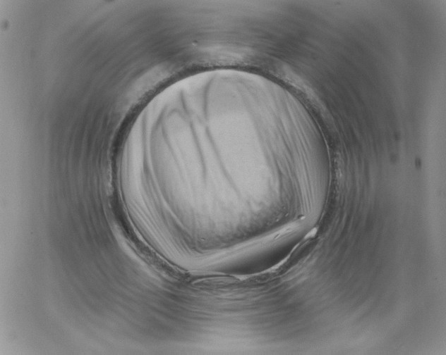 X0000062910582200602031859