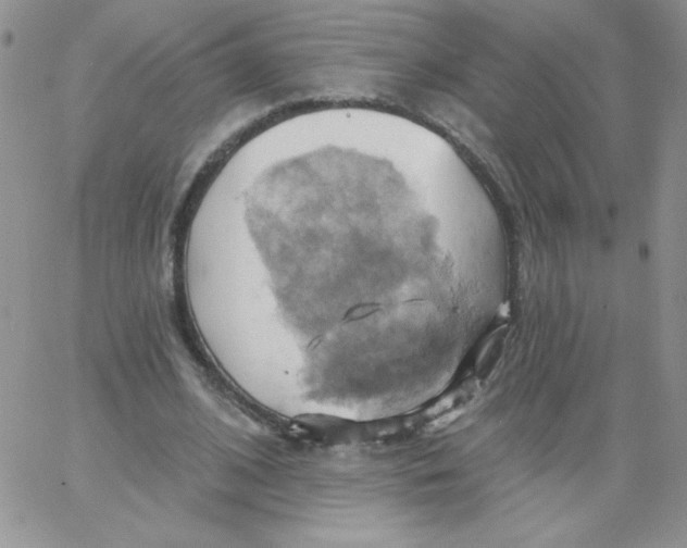 X0000062910584200602031859