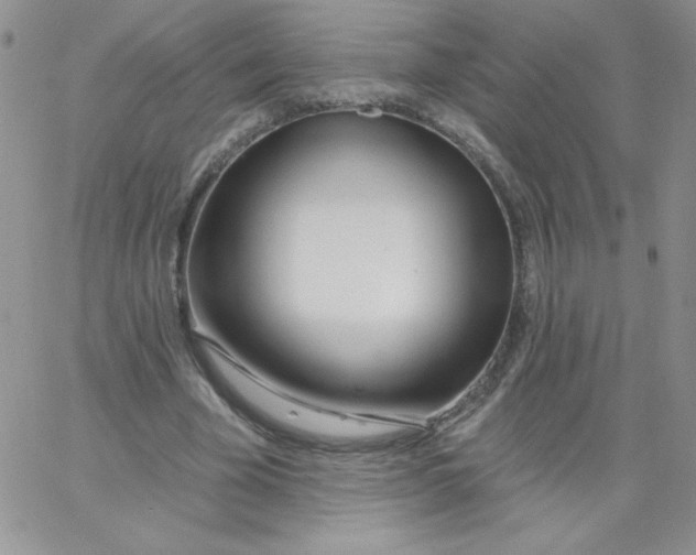 X0000062910585200602031859