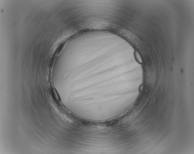 X0000062910586200602031859