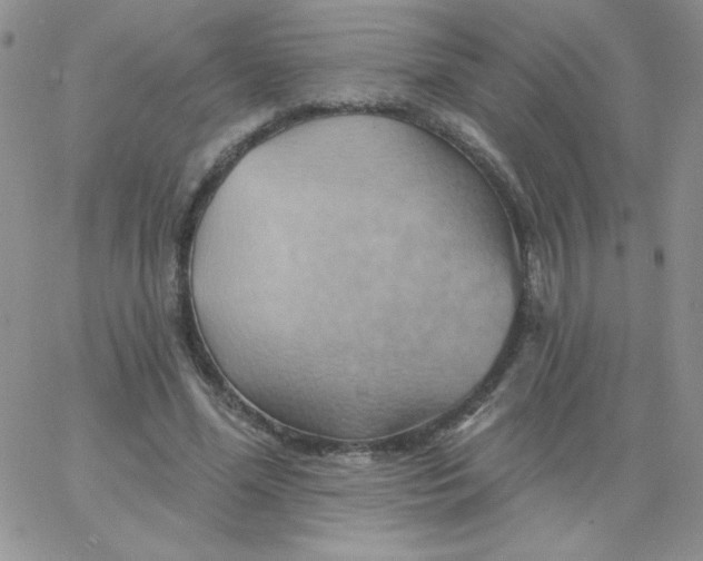 X0000062910588200602031859