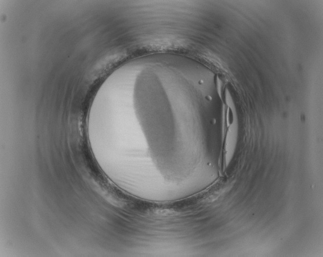 X0000062910590200602031859