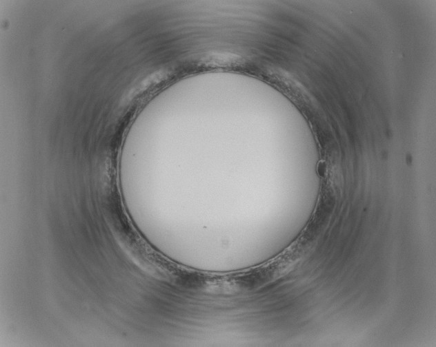 X0000062910591200602031859