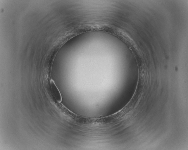 X0000062910593200602031859