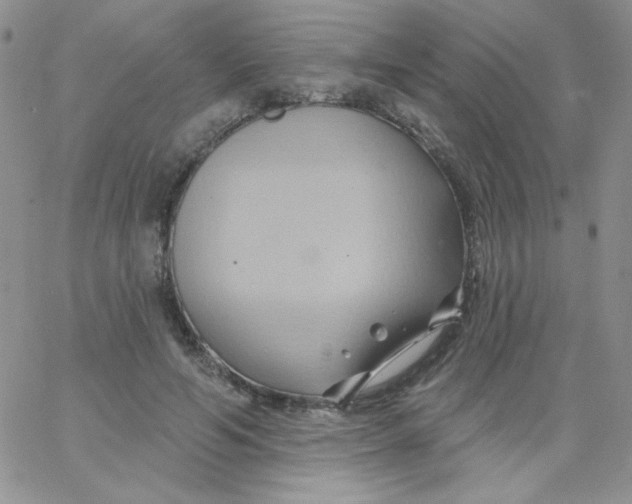 X0000062910594200602031859