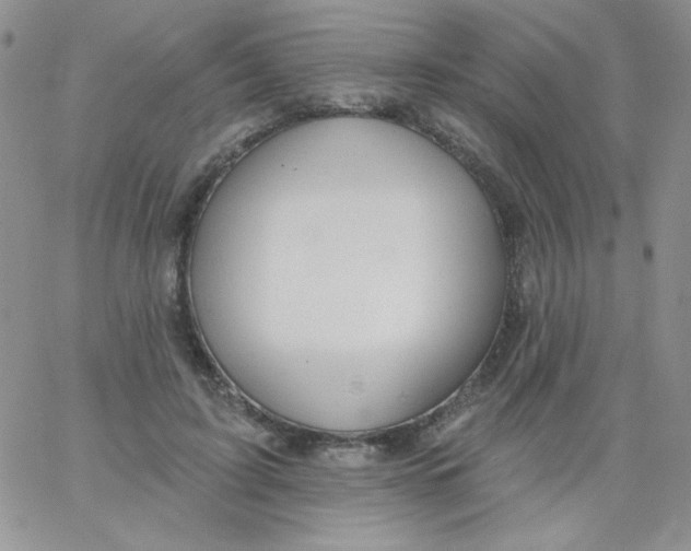 X0000062910595200602031859