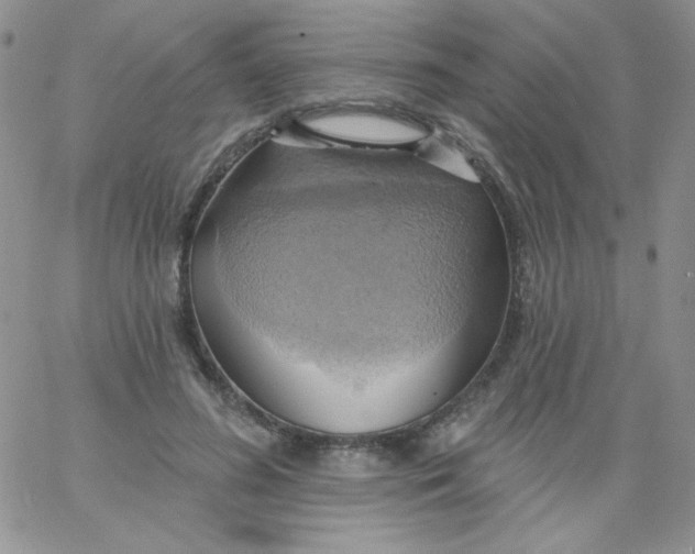 X0000062910596200602031859