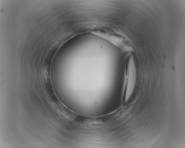 X0000062910597200602031859