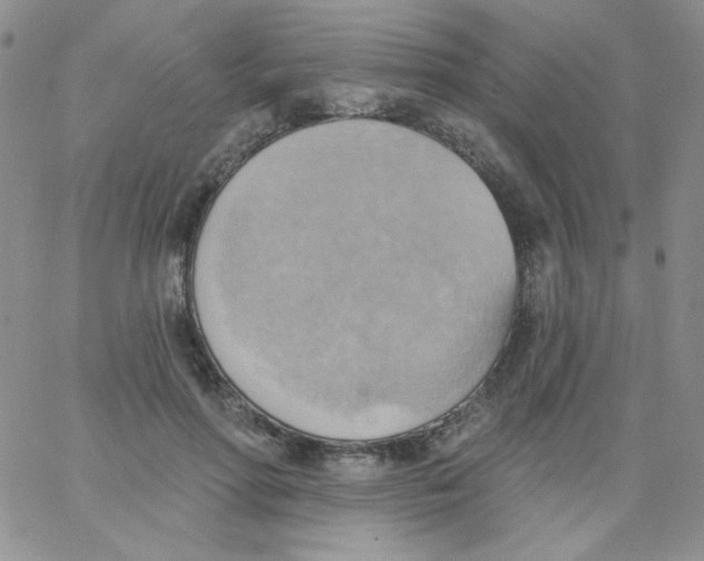 X0000062910598200602031859