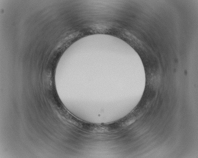 X0000062910599200602031859