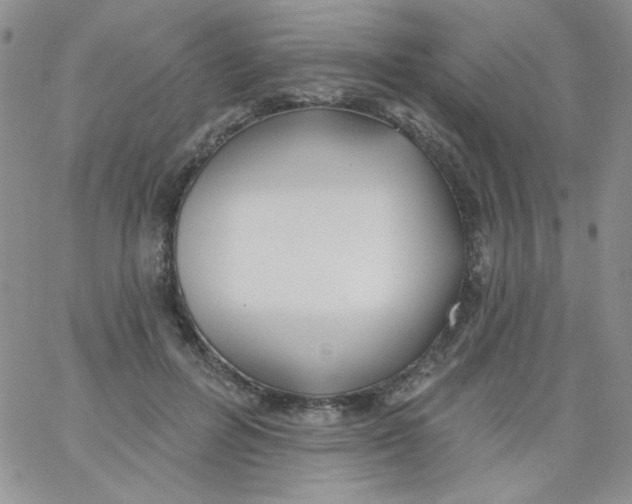 X0000062910600200602031859