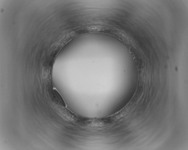 X0000062910601200602031859